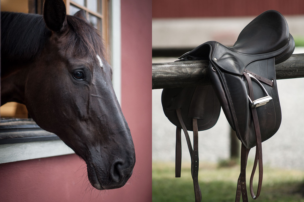 horse-sadel-1